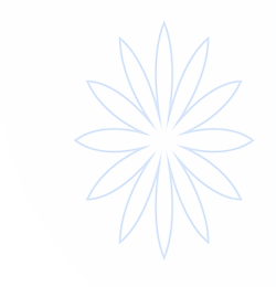 必一运动·(B-Sports)官方网站